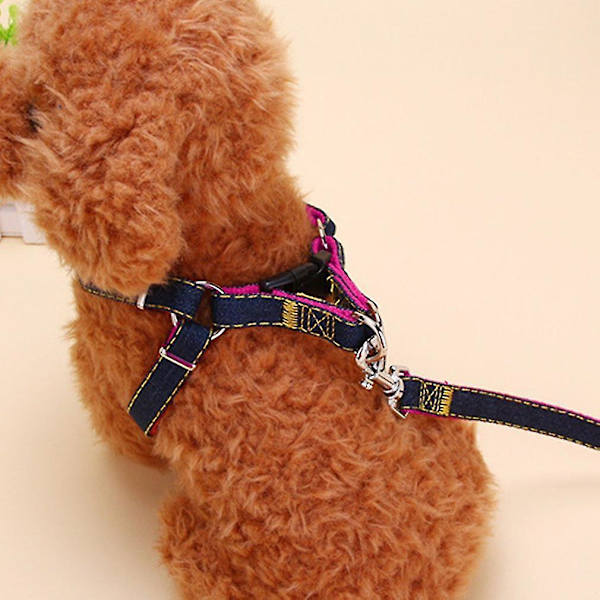 2 st Hundsele & Koppel i Nylon för Promenader