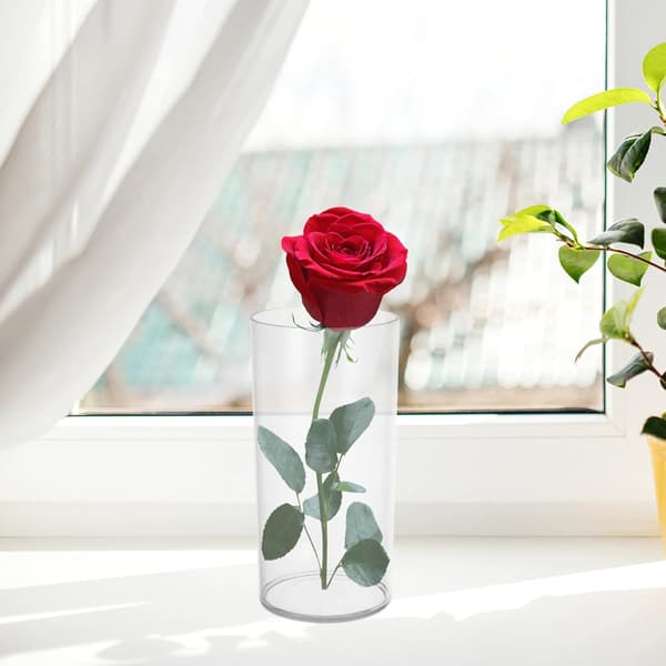 2-pack vasdekor blomvas cylindrisk PET-material modern enkel elegant stil heminredning