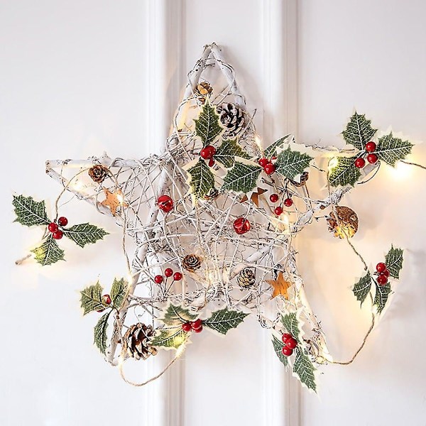 Julröda Fruktblad Fairy String Lights 4.5m 50led Sol