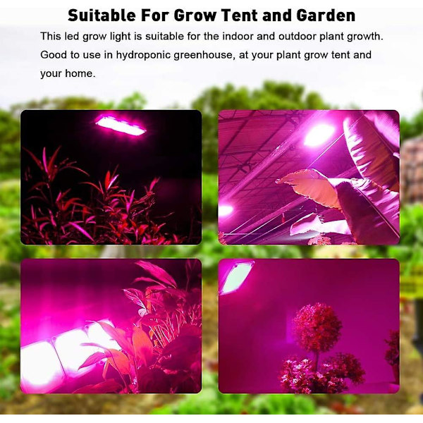 150w Vekstlys, IP67 Vanntett Hortikulturelt LED-lys