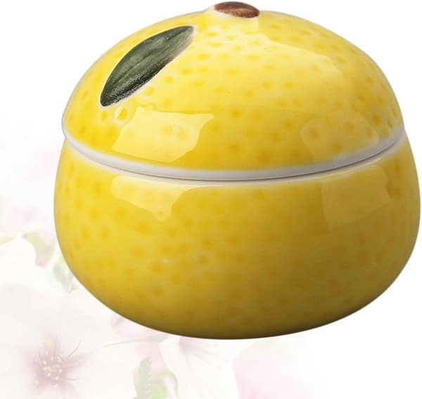Japansk stil orangeformet keramisk smagsret til krydderier og smagsstoffer