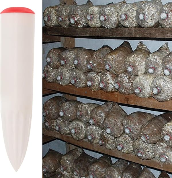 Lejonman Svampodling Utrustning Stock Inokuleringsstans Robust Spawn Planteringsstans