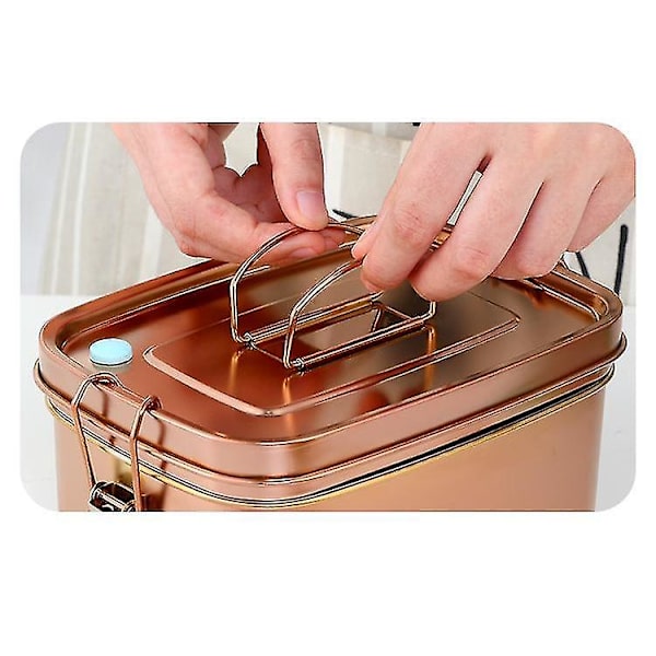 Rosa guld frokost Bento Box Forseglet stål madbeholder