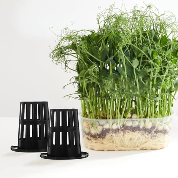 50 st plastnätkrukor Hydroponiska planteringskorgar Nätkoppar för hydroponiska system trädgårdskrukor