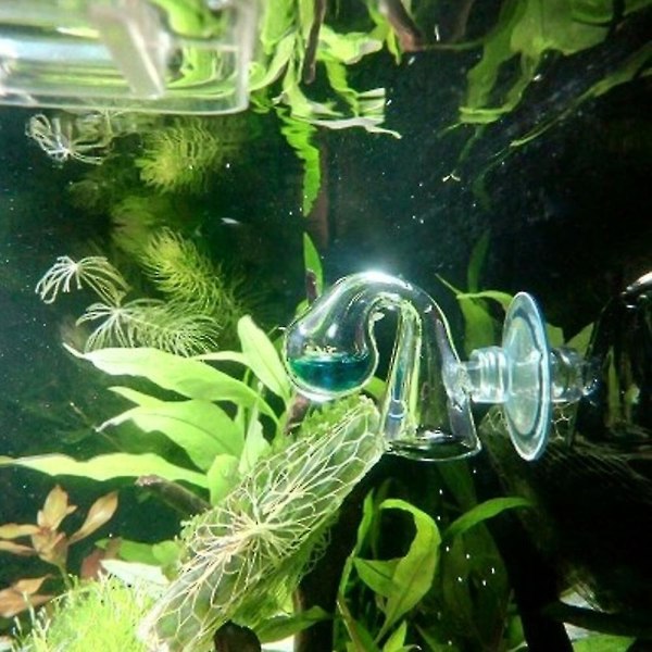 Akvarium Glas CO2 Drop Checker Monitor Indikator Tester