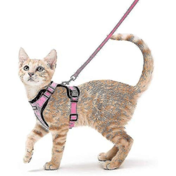 Rabbitgoo Cat Sele Snor Walking Escape Proof Vest