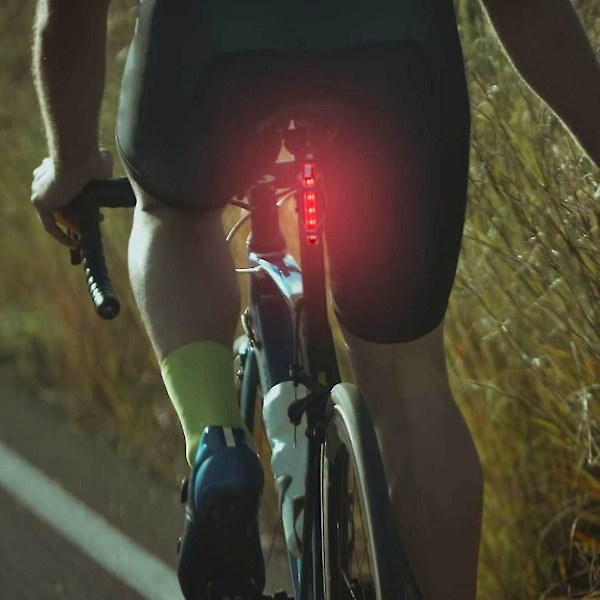 Cykel Baglygte Bag LED USB Genopladelig Vandafvisende Baglygte Sikkerhed Advarselslampe Rød Baglygter (rød) (1 stk)