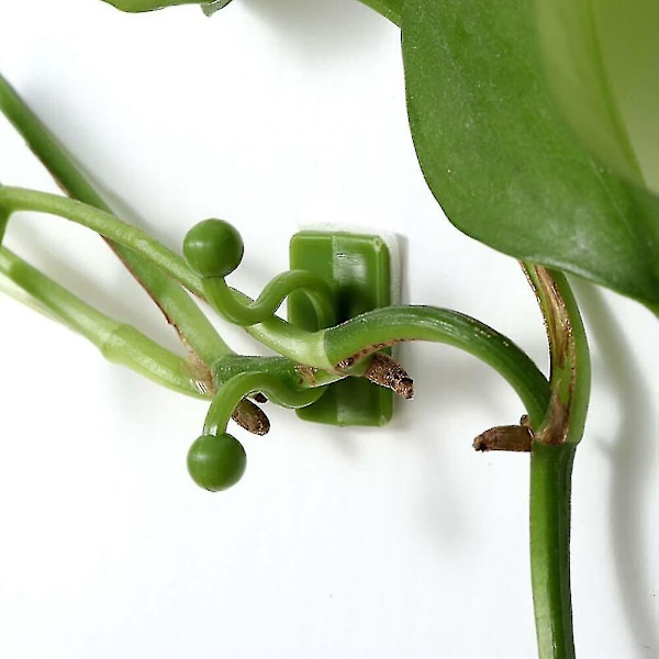 Näkymätön Kasvien Kiipeilyklipsit Viiniköynnösten Seinäkiinnitys Tarraklipsut Koukku Green 10pcs