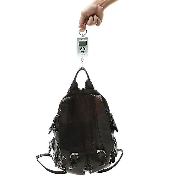 Wh-a05l LCD Bärbar Digital Vågskala 10-45kg 10g Fiske Bagage