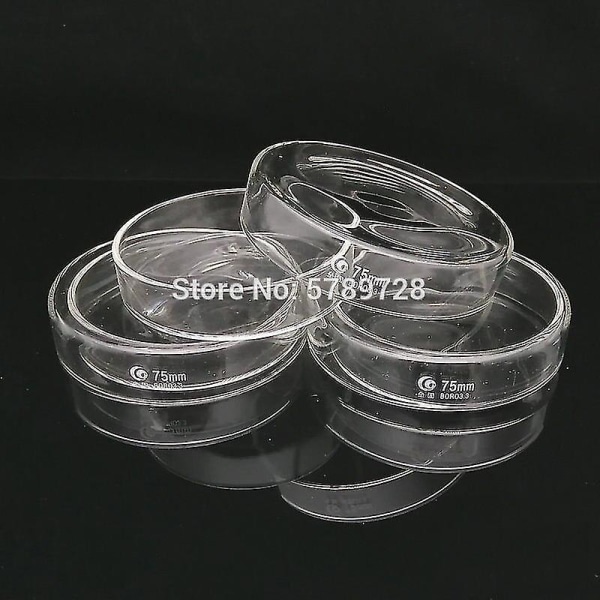 5pcs 75mm Borosilicate Glass Petri Culture Dish Bacteria