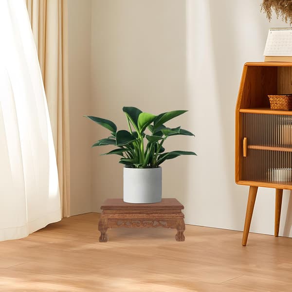 Træplantepotte Riser Vase Display Stand Slidstyrke og Deformationsmodstand
