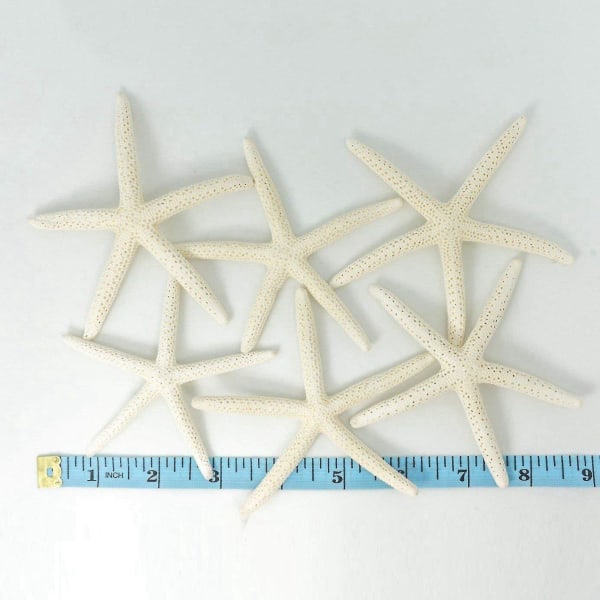 24 stk Hvide Finger Havstjerner 5-10cm Dekorative Fem-finger Havstjerner-yuhao