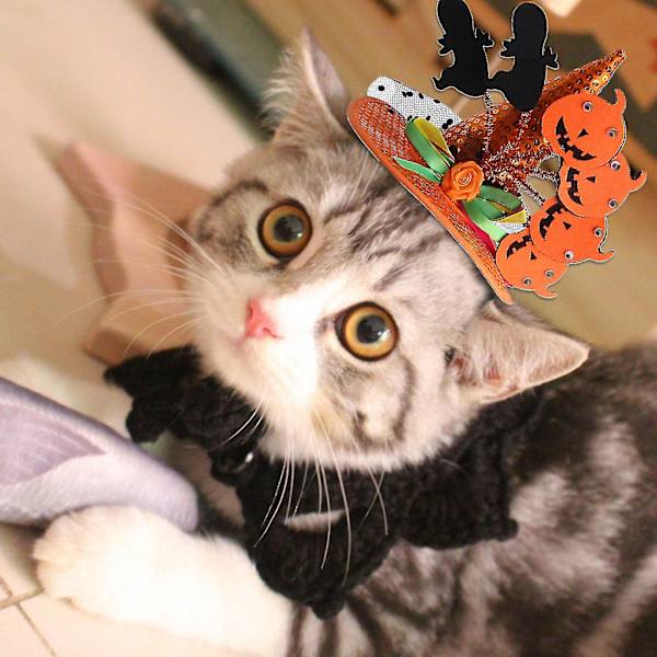 Hund Hat Halloween Stil Kreativ Filt Klud Justerbar Cosplay Hovedbeklædning Til Kæledyr Y-yuhao Orange