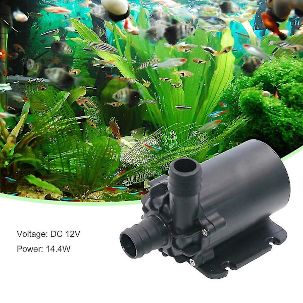 Bluefish Magnetisk Isolasjons Kobbermotor Neddykket Pumpe