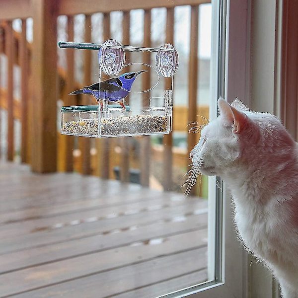 Fuglefoderautomat Transparent Vindue Akryl Med Sugning