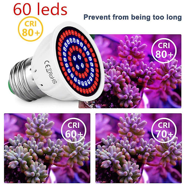 10 kpl 60 LED:n kasvilampua sisätilojen kasveille