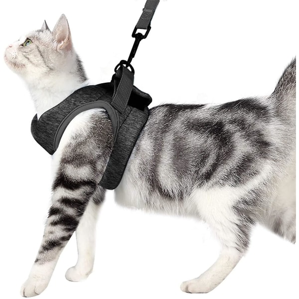 Kattesele og bånd for turgåing 360-graders omslagsbelte for katt/hund, grå