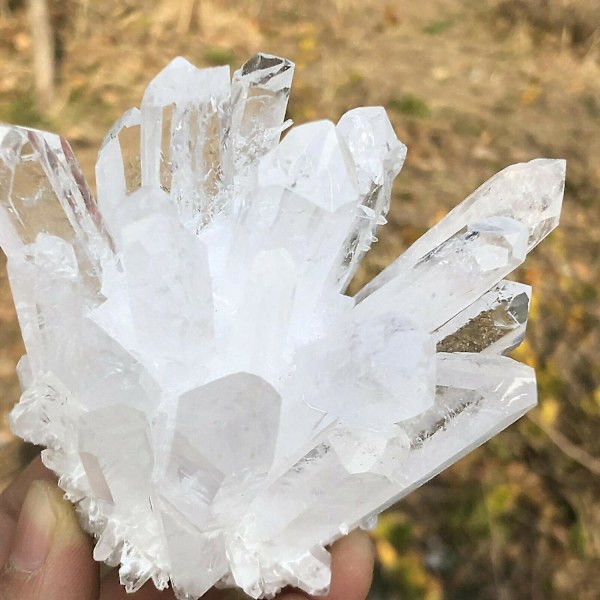1 st Natural Sällsynt Vit Kvartskristallklusterprov