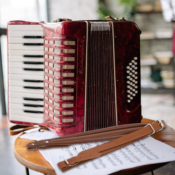 Harmonikaremme 2 stk. farvede stropper, PU i justerbar kaffe åndbar og stressreducerende bas harmonika