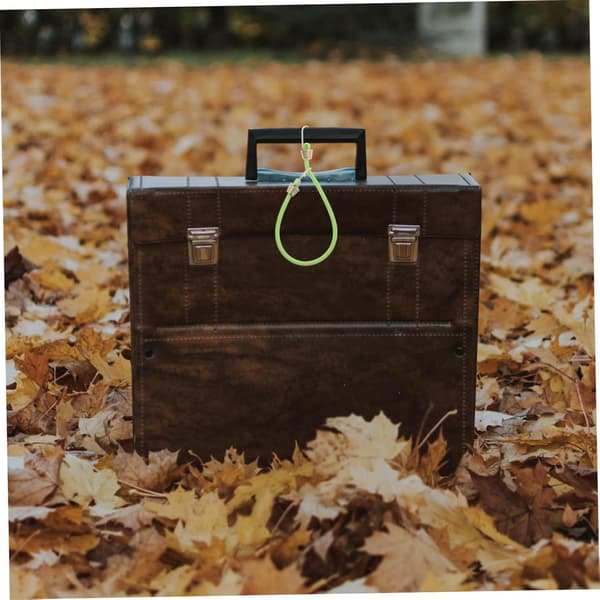 10 stk. elastiske bagagestropper med metalkroge Mini Bungee Cords