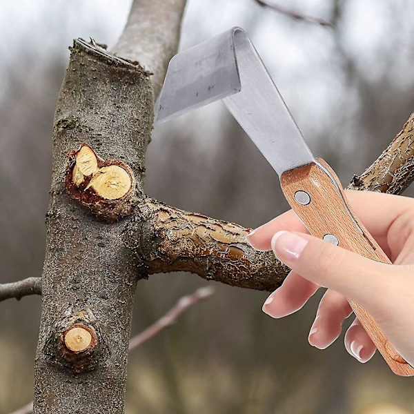 Ukrudtsfjerner Have Bark Scraper Haveværktøjer Andre Manuel Haveværktøjer Sølv-2stk