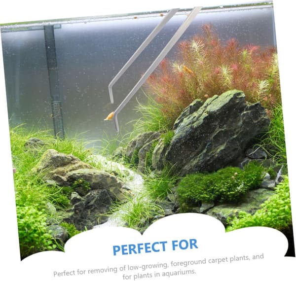 2 stk. 38 cm akvarietang i rustfrit stål til trimning af vandplanter