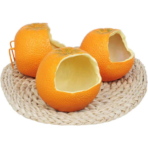 Fuglefoder Fuglefoder Skålformet Orange Papegøje Papegøje Foderretter Kop Til Små Papegøjer