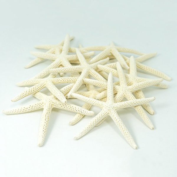 24 kpl White Finger Starfish 5-10cm Koristeellinen viiden sormen meritähti-yuhao