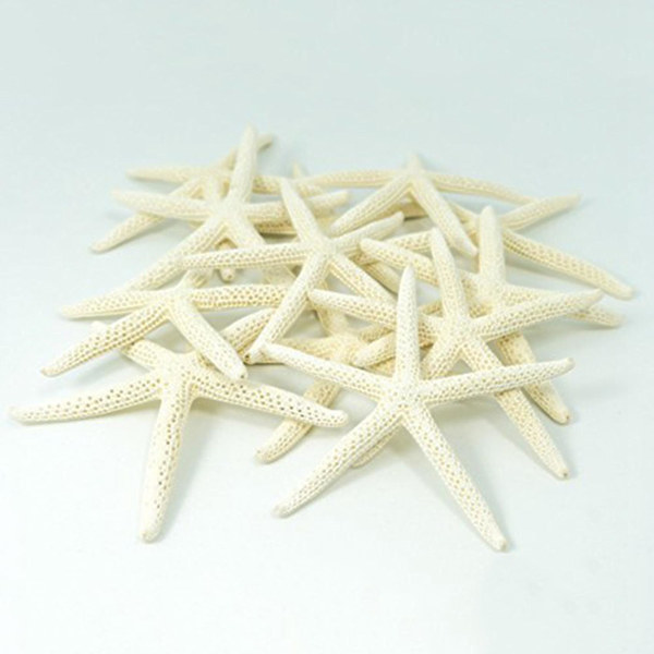 24 stk Hvite Finger Sjøstjerner 5-10cm Dekorative Fem-finger Sjøstjerner-yuhao