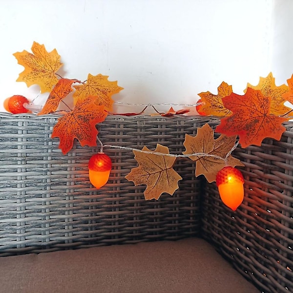 Ek & Lönnlöv Fairy String Lights Höst 2m 10led Batteri Jul