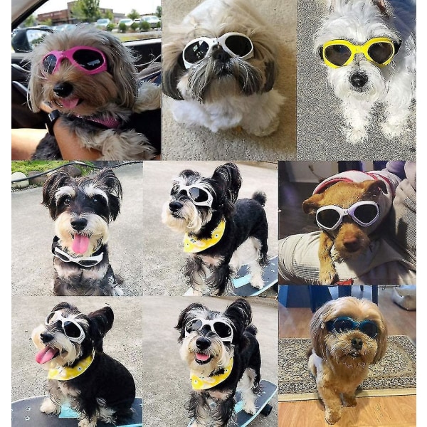 Små hundesolbriller Vandtætte vindtæt UV-beskyttelse Pet Solbriller Hunde  dekorative solbriller 3039 | Fyndiq