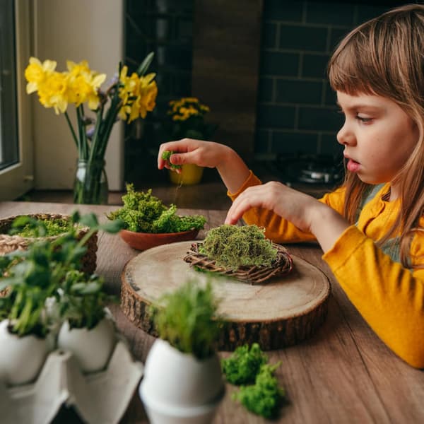 Konserverad grön mossa 60g förpackning evig mossa för DIY-hantverk blomsterarrangemang