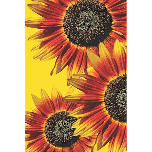 Full Diamond Painting, Vacker Solrosblommor Diamond Painting Diy 5d Mosaikmålning Nummer Korsstygn