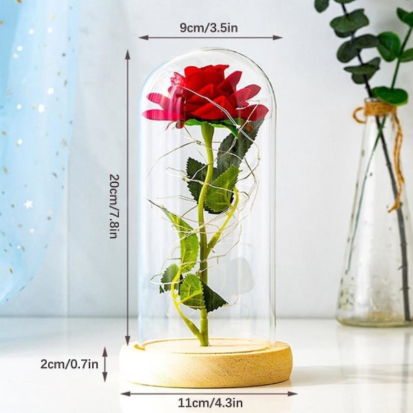 Lysende Evig Rose Rose Glaskuppel Glas