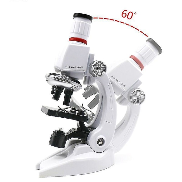 Erobring søm indsigelse Trinokulært mikroskop børnesæt 100x-400x-1200x linser 0498 | Fyndiq