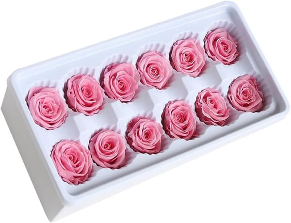 12 st/låda konserverade blommor eviga roshuvuden 3-4 cm dekorativ romantisk stil