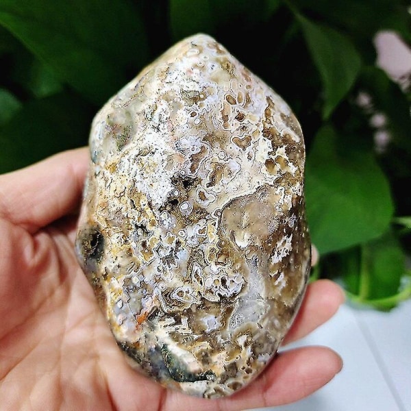 Natursten Hav Jade Krystal Agat Mineral Prøve