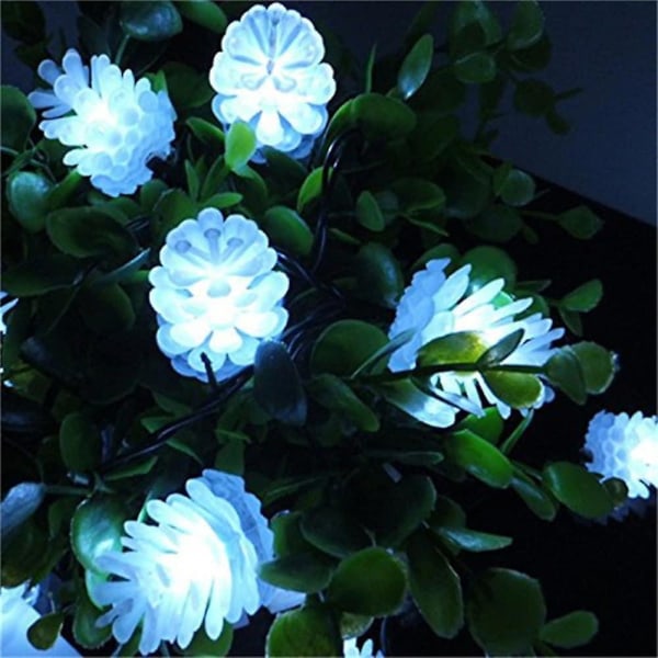 Solcelle Udendørs Lys 6m 30leds Fyrrekogle Vandafvisende Fe