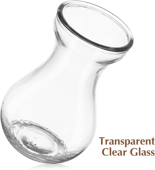 4 stk. hydroponiske blomstervaser i glas til grønne planter, små bordpotter