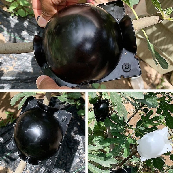 Rotningsboll för växter, 5 st, Rotningsenhet för sticklingar, Högtrycksrotning, Förökningsboll, Låda