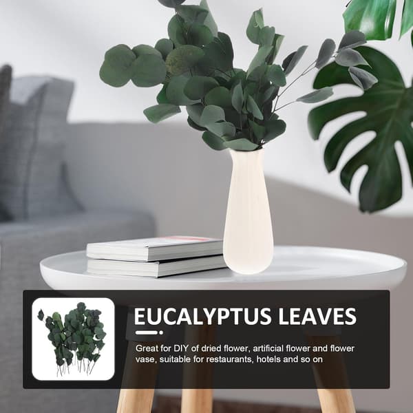 1 bunt torkade eukalyptusbladstjälkar eukalyptusdekorationer 45 cm konserverad blomma rustik lantlig stil