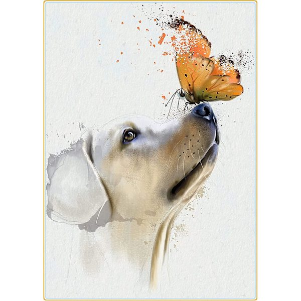 Full Diamond Painting, Valpe-Sommerfugl Dyr Diamond Painting DIY 5D Mosaikkmaleri Nummer Krysssting