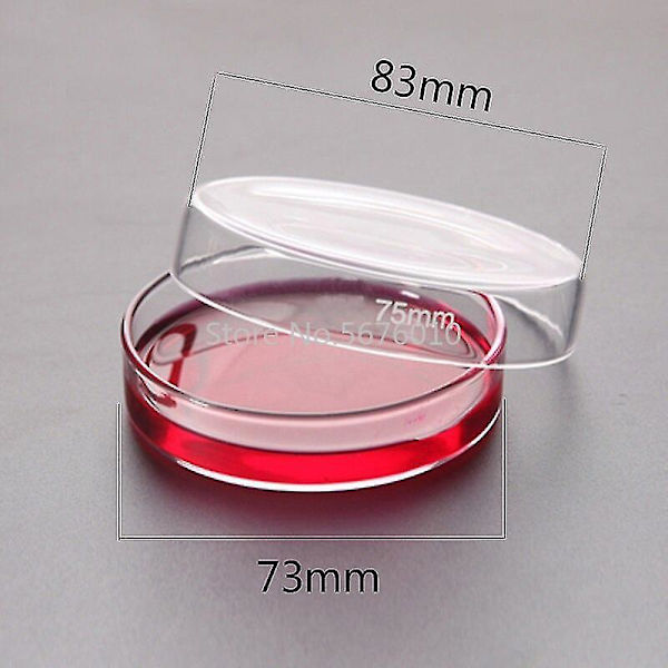 10pk 75mm Boro Glas Petriskåle Celle Steril Kemisk