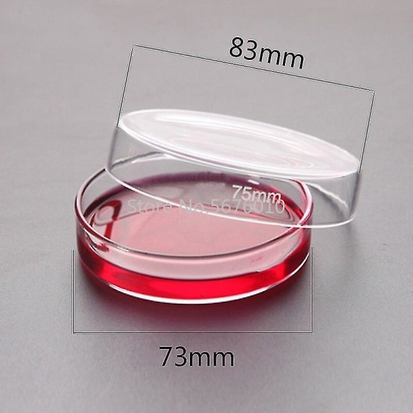 10pk 75mm Boro Glass Petriskåler Cell Sterile Kjemikalie