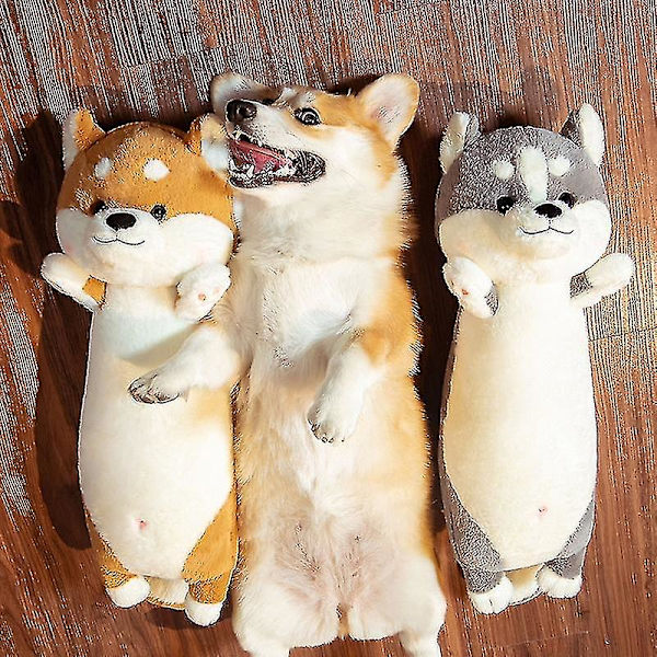 1 stk. 65cm Sød Shiba Inu & Husky Plyslegetøj Kawaii Dyre Dukker Fyldt Blød Hundepude Til Pige Auburn