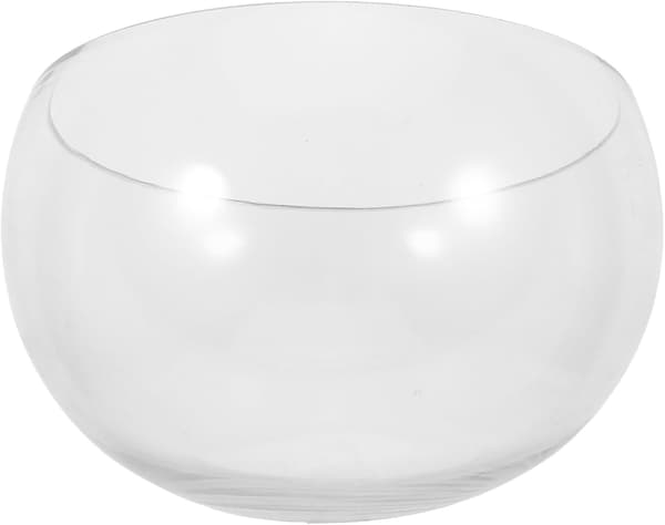 Glassplanter Hydroponisk Glassvase Halvrund Form Plassbesparende Funksjon