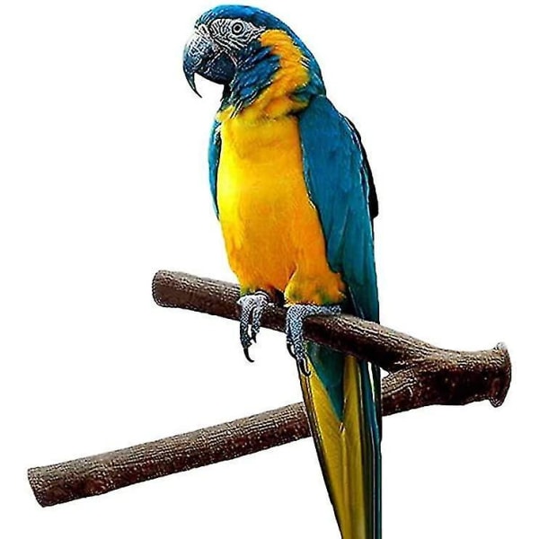 Puinen linnun häkin istumapaikka 4 kpl 15cm Y-muotoinen Kanarialintu Peippo Budgie