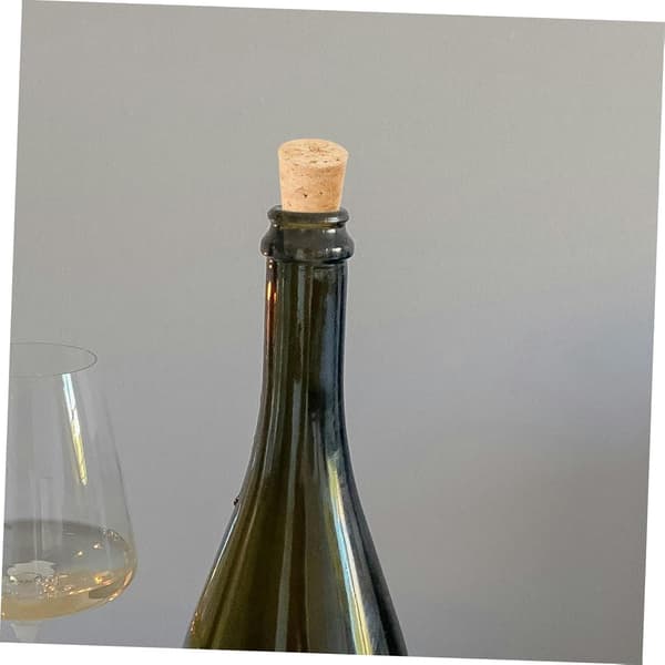 Eleganta Vinkorkar 20 st Glasflaskproppar Kork