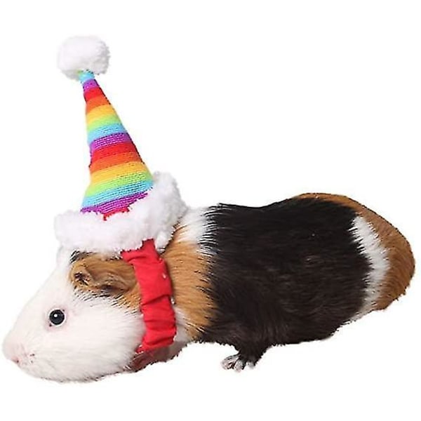 Små kjæledyr Minihatt Regnbuedyrs bursdagskostymetilbehør