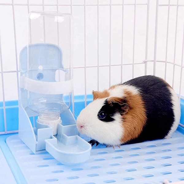 Dyrevannflaske, 500 ml, Burvanndispenser, Bærbar, For Hund, Katt, Kanin, Hamster, Smådyr